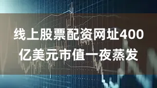 线上股票配资网址400亿美元市值一夜蒸发
