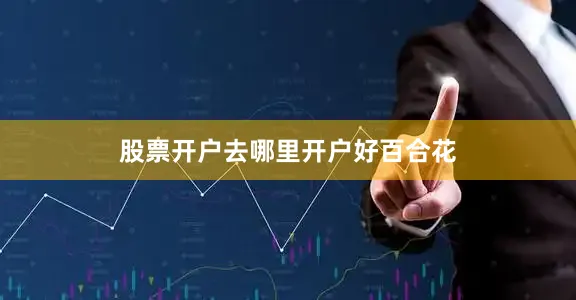 股票开户去哪里开户好百合花