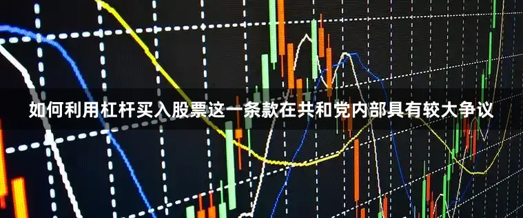 如何利用杠杆买入股票这一条款在共和党内部具有较大争议