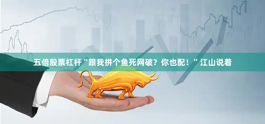 五倍股票杠杆“跟我拼个鱼死网破？你也配！”江山说着