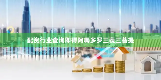 配资行业查询即得阿耨多罗三藐三菩提